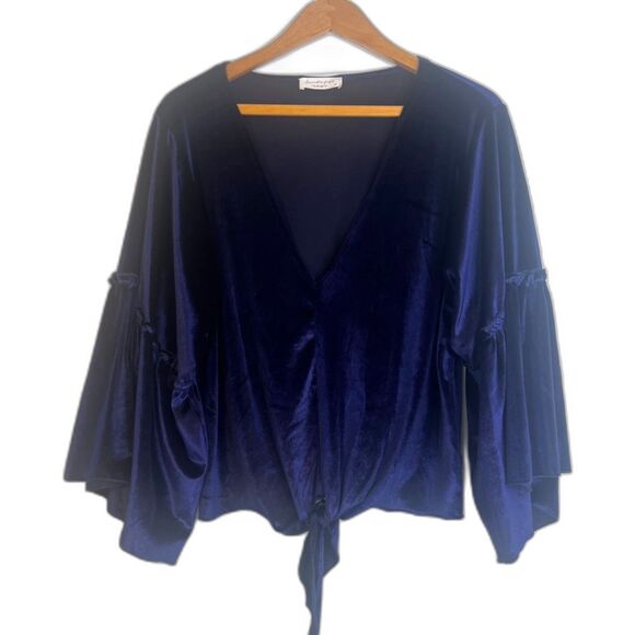 Lavender Field Velvet Vneck Statement Sleeve Blouse Tie Waist Size Medium VTG - Picture 1 of 8